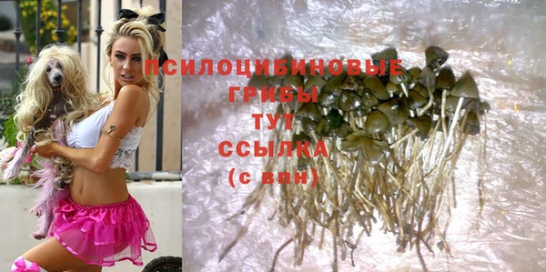MESCALINE Заволжье