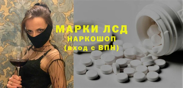 прущие грибы Переславль-Залесский