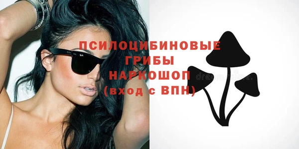 герыч Пересвет