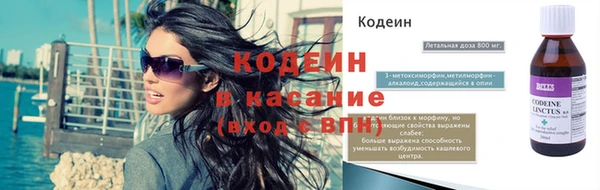 ПСИЛОЦИБИНОВЫЕ ГРИБЫ Тайга