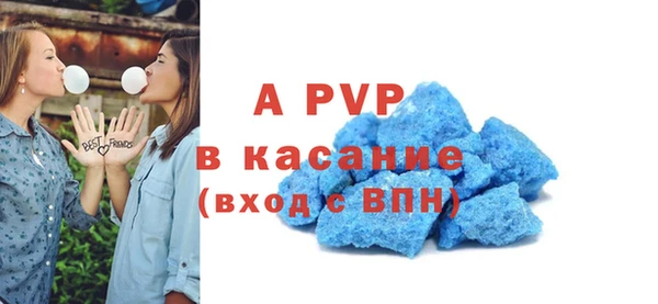 прущие грибы Переславль-Залесский