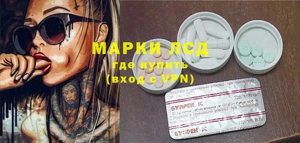 прущие грибы Переславль-Залесский
