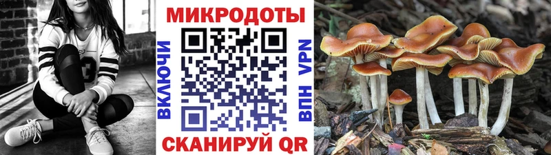Галлюциногенные грибы Cubensis  сколько стоит  Сельцо 